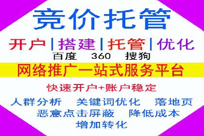 行业领先！专业SEM托管的成功实践案例