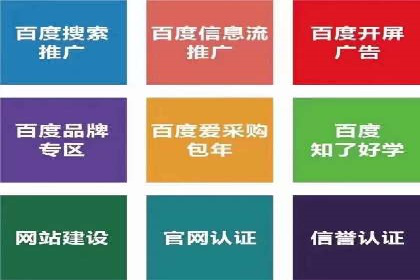 网络推广竞价实战：某电商平台的成功案例