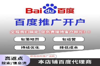 百度推广竞价全解析：某电商平台的营销策略